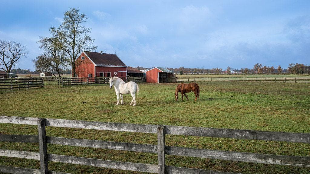 Secretary Of Agriculture