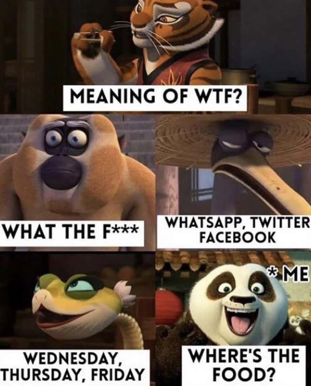 'WTF' Means Different Things To Different 'Kung Fu Panda' Characters