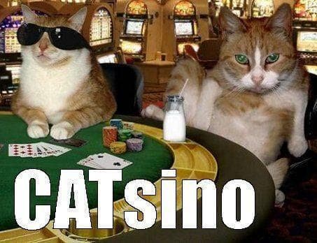 The 27 Funniest Casino Memes, Ranked