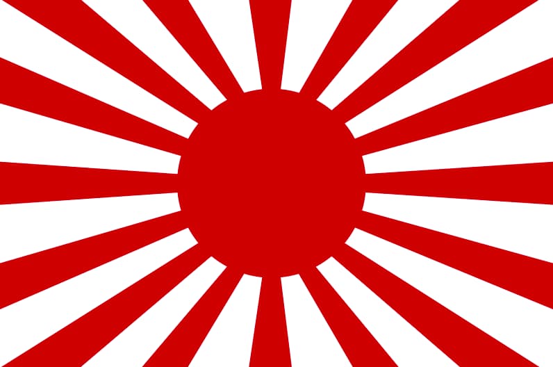 The 10 Most Controversial Flags In History
