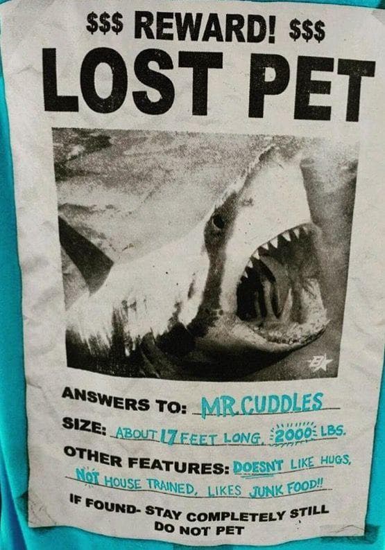 the-28-funniest-shark-memes-ranked