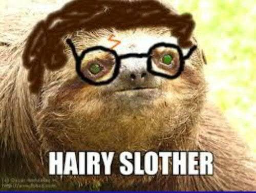 The 25 Funniest Sloth Memes, Ranked