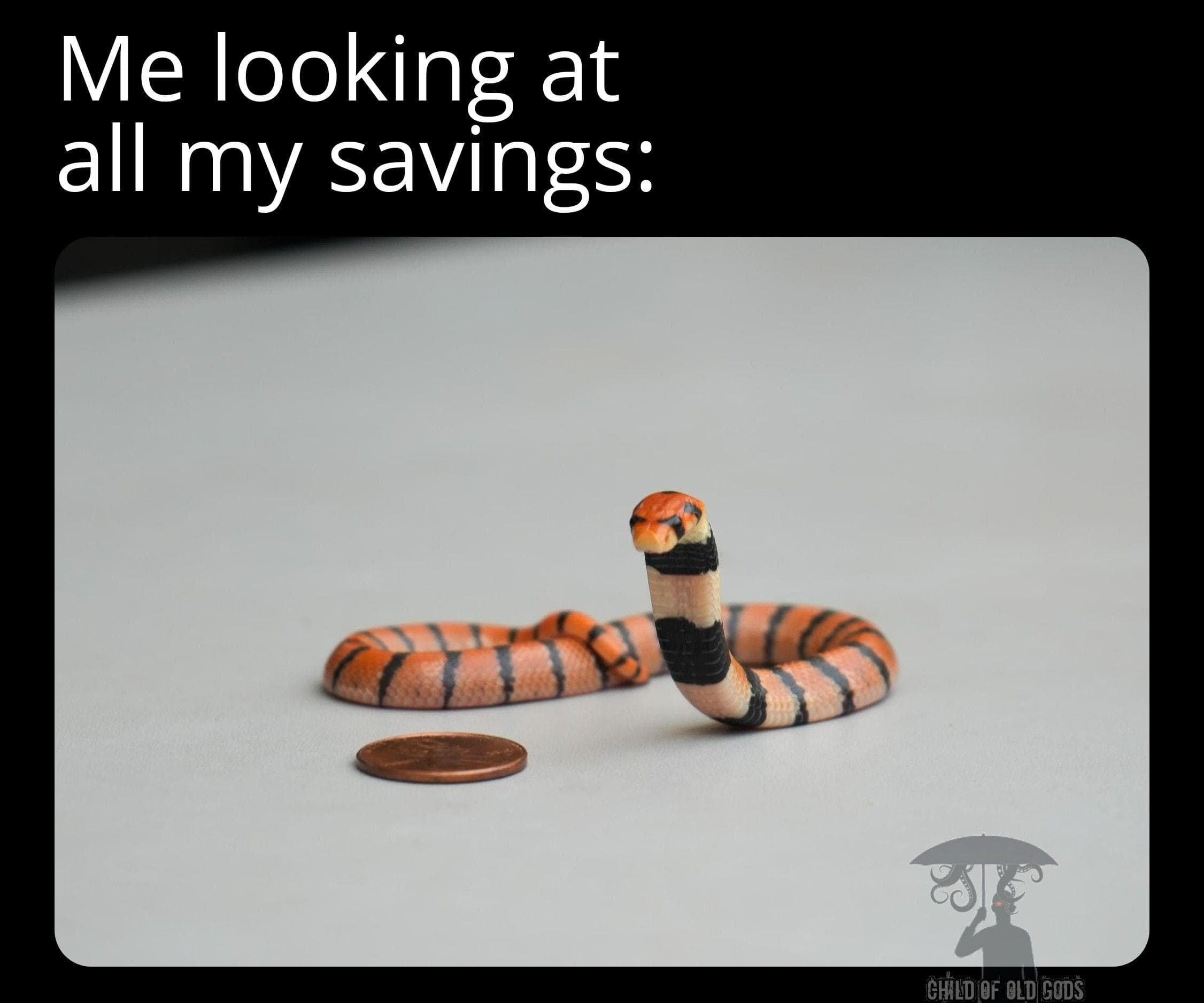 The 29 Funniest Snake Memes, Ranked