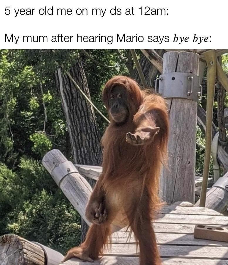 The 18 Funniest Orangutan Memes That Deserve An Ape-Plus