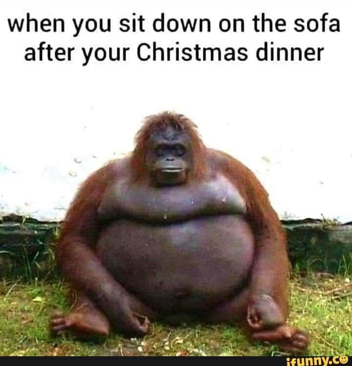 The 18 Funniest Orangutan Memes That Deserve An Ape-Plus
