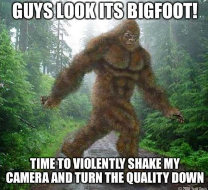 The 24 Funniest Cryptid Memes That Are Mysteriously Amusing