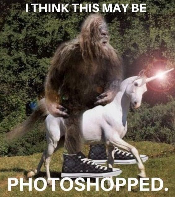 The 24 Funniest Cryptid Memes That Are Mysteriously Amusing