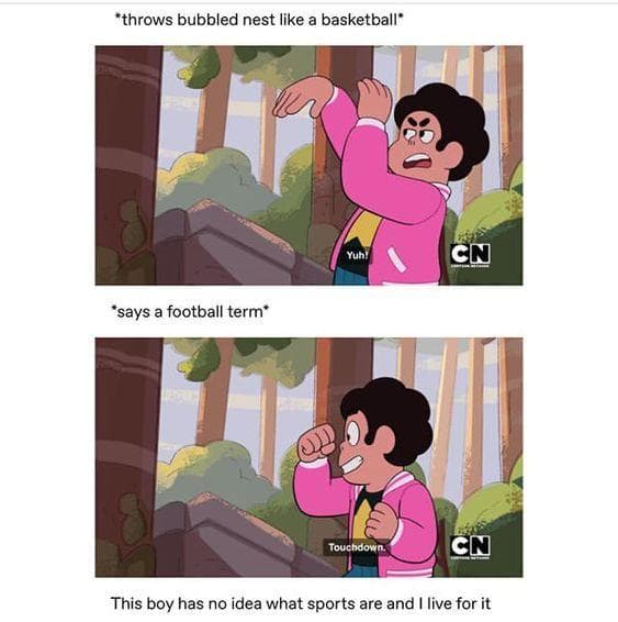 The 24 Funniest 'Steven Universe' Memes, Ranked