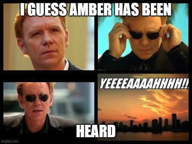 The 14 Funniest Amber Heard Memes, Ranked