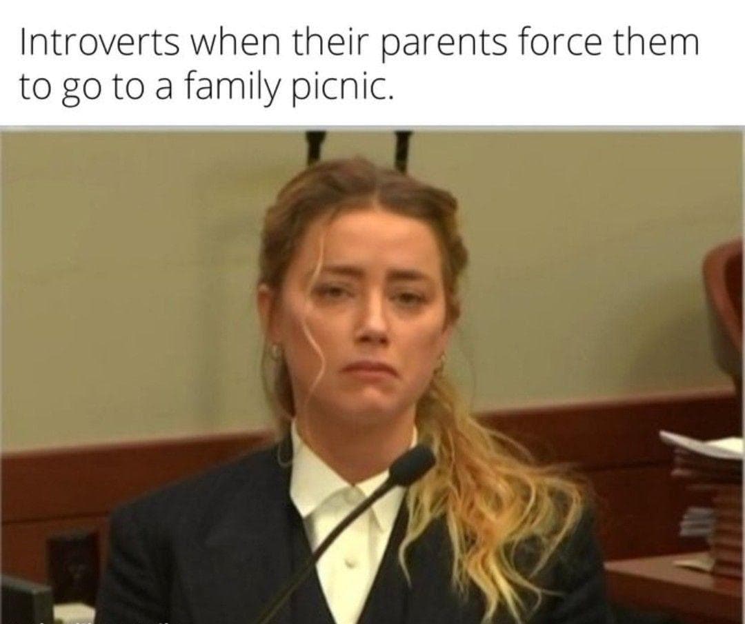 The 14 Funniest Amber Heard Memes, Ranked