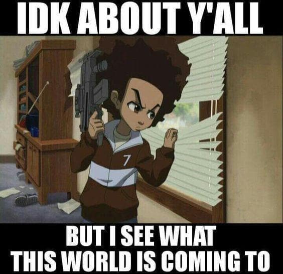 The 25 Funniest 'Boondocks' Memes, Ranked