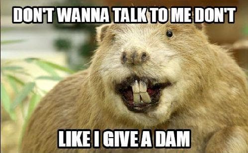 The Beaver Doesn't Care
