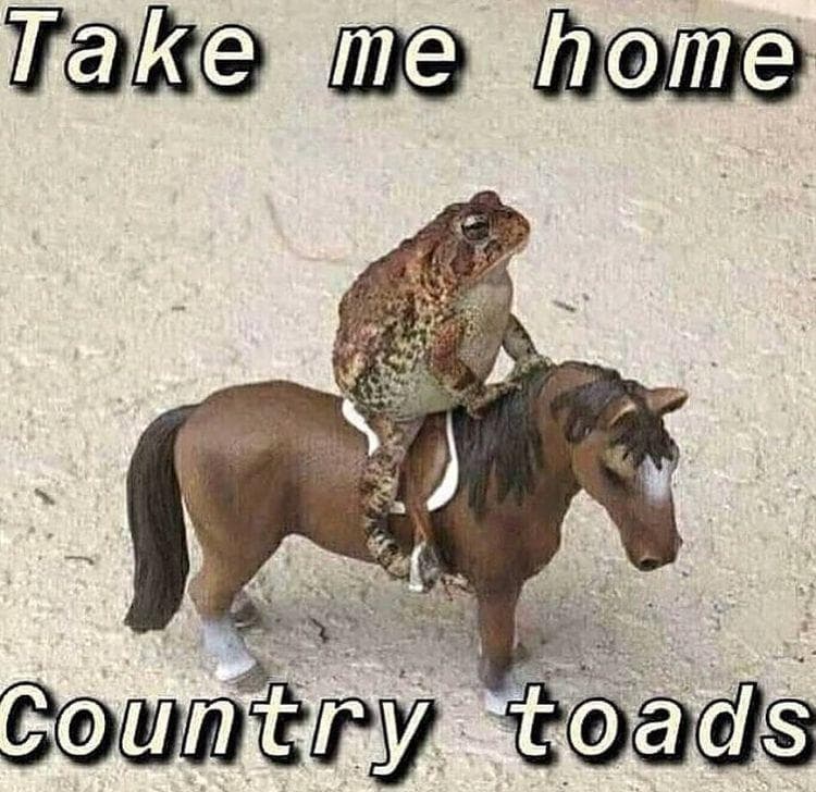 The 26 Funniest Toad Memes, Ranked
