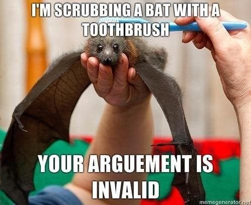 The 25 Funniest Bat Memes, Ranked