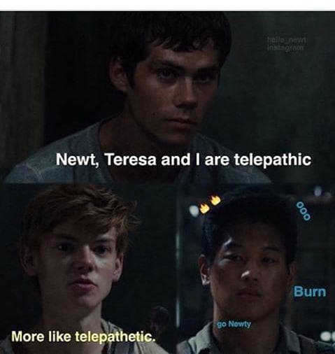 The 25 Funniest Maze Runner Memes, Ranked
