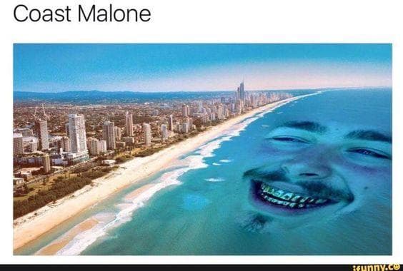 The 25 Funniest Post Malone Memes, Ranked