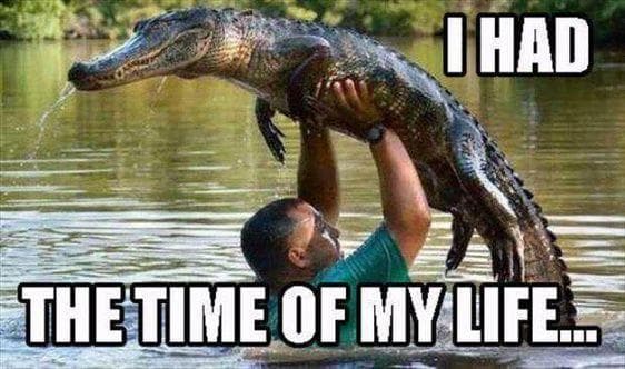 The 30 Funniest Crocodile Memes, Ranked