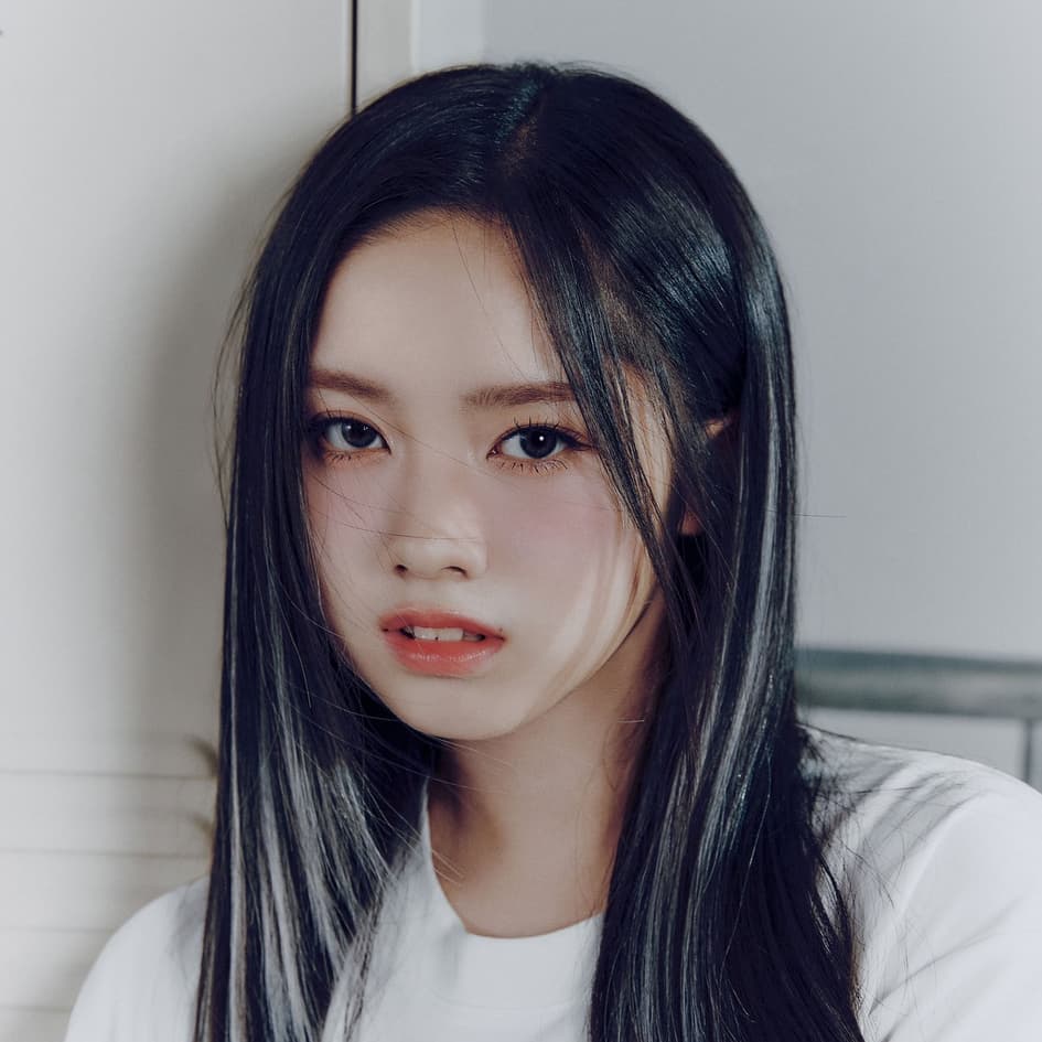 20+ K-pop Idols Who Are INTP, Ranked By Fans