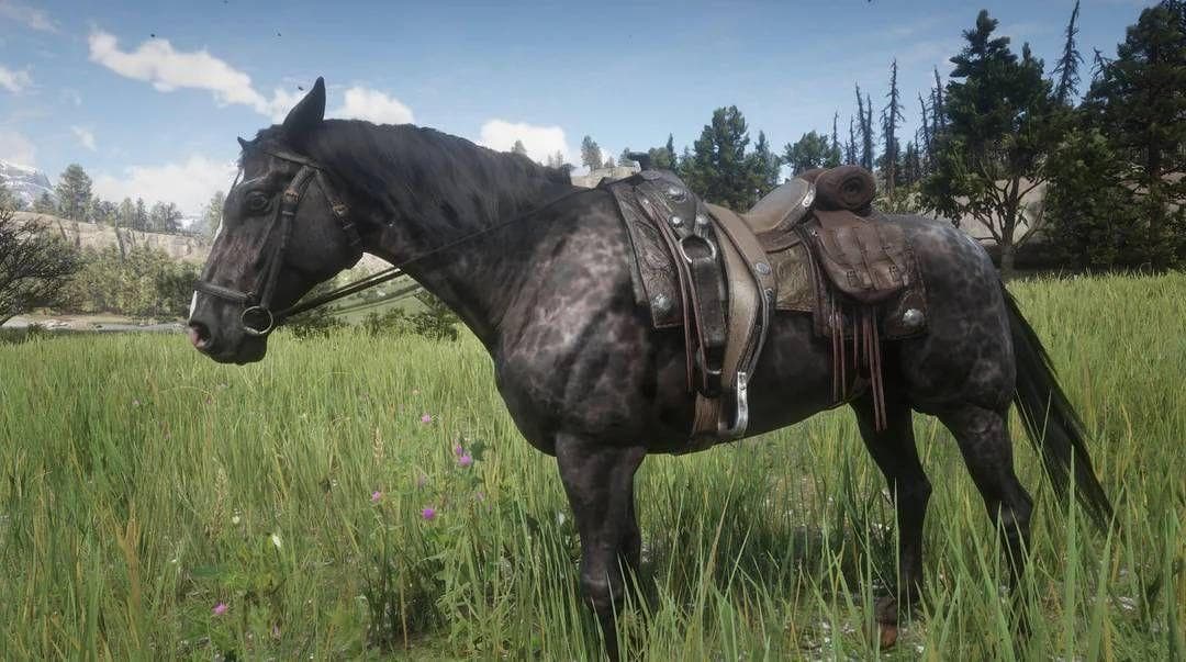 The Best Red Dead Redemption 2 Horses, Ranked