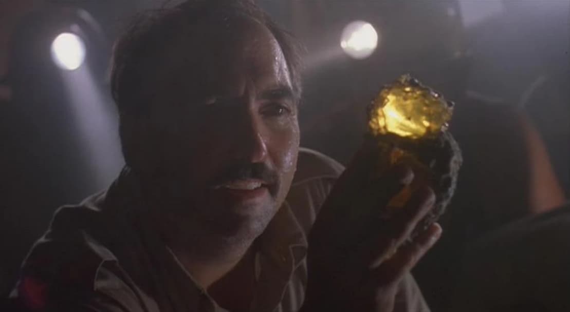 The Preservation Of Dinosaur DNA