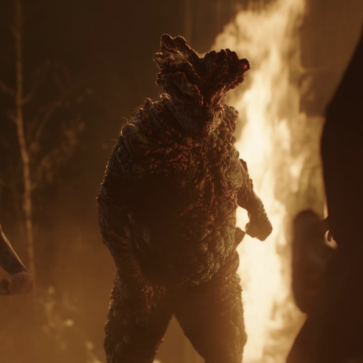 Thrilling Action Sequence Expectations