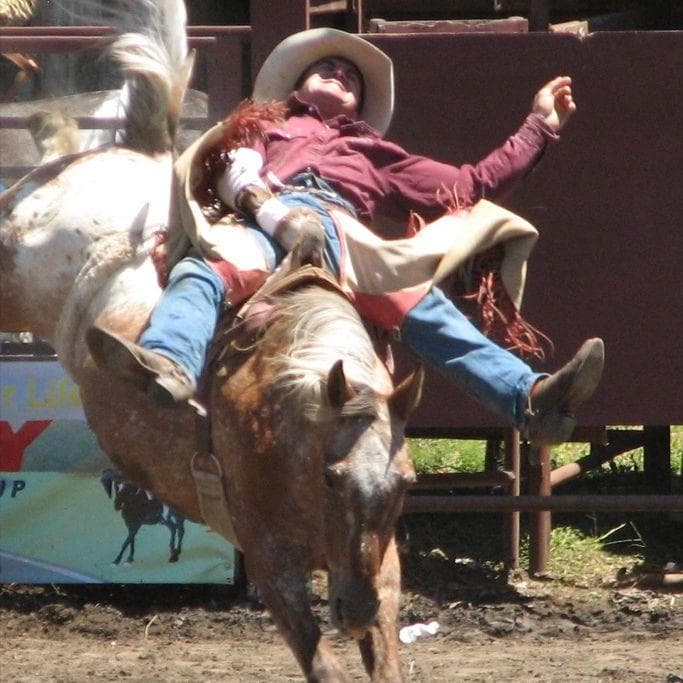 13 Best Rodeo Events For Fans And Families