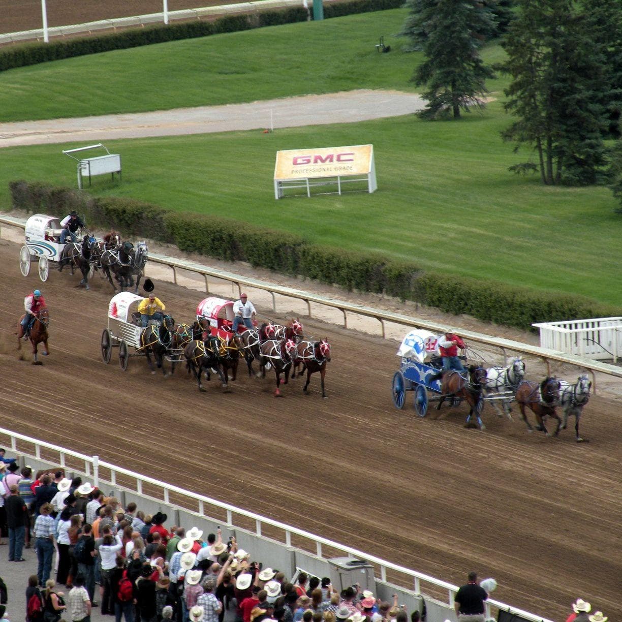 13 Best Rodeo Events For Fans And Families