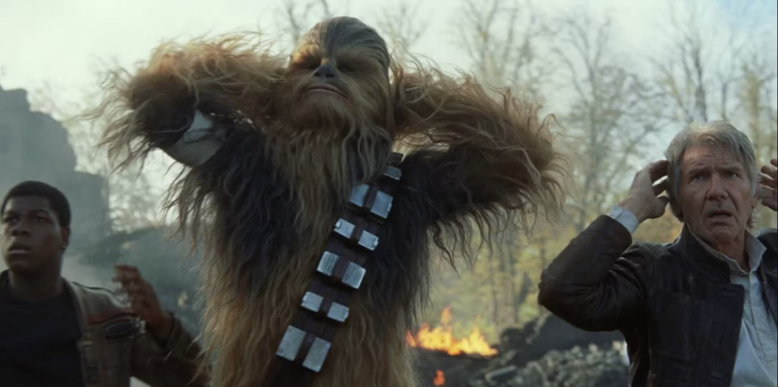 12 Secrets About Chewbacca That Even Die Hard Star Wars Fans Don't Know