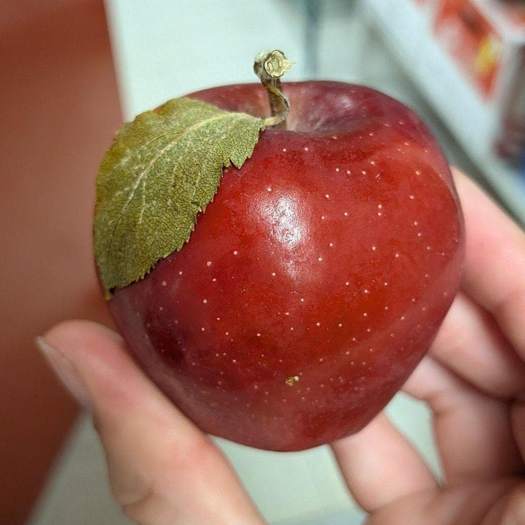 Oddly Satisfying | Things That Fit Together Photo Gallery