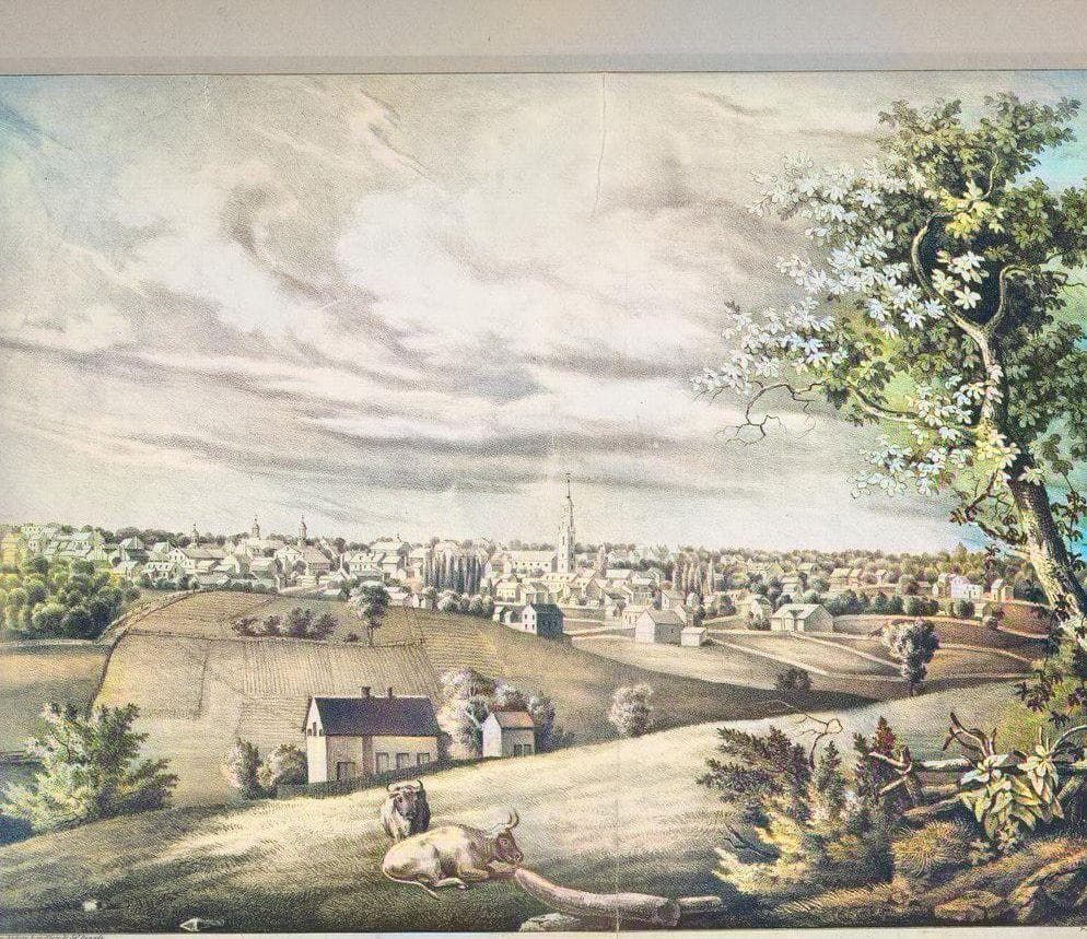 Immigrants Brought Groundhog Day To The United States