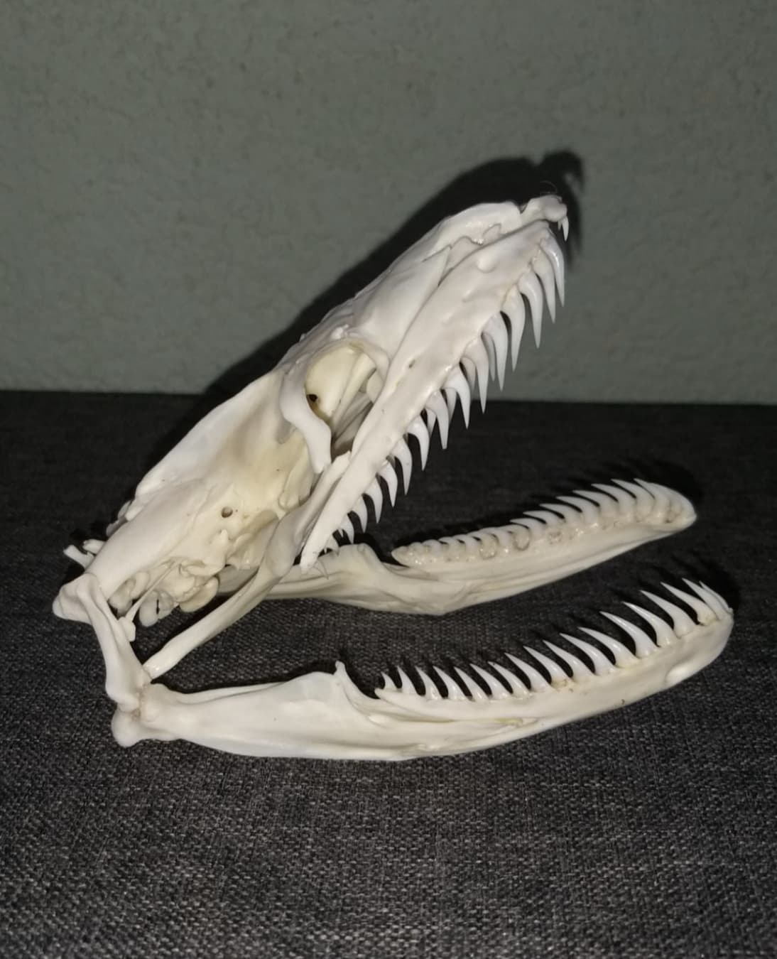 Bizarre Posts We Found This Week That Left The Internet Totally Confused