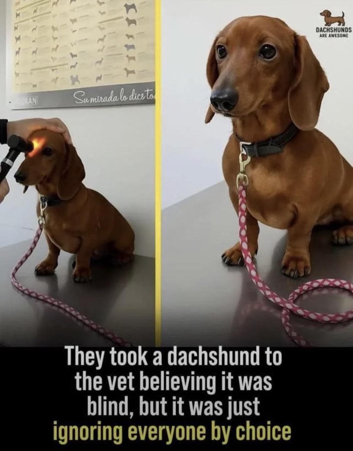 Hilarious Posts We Found This Week Of People Being Absolute Menaces