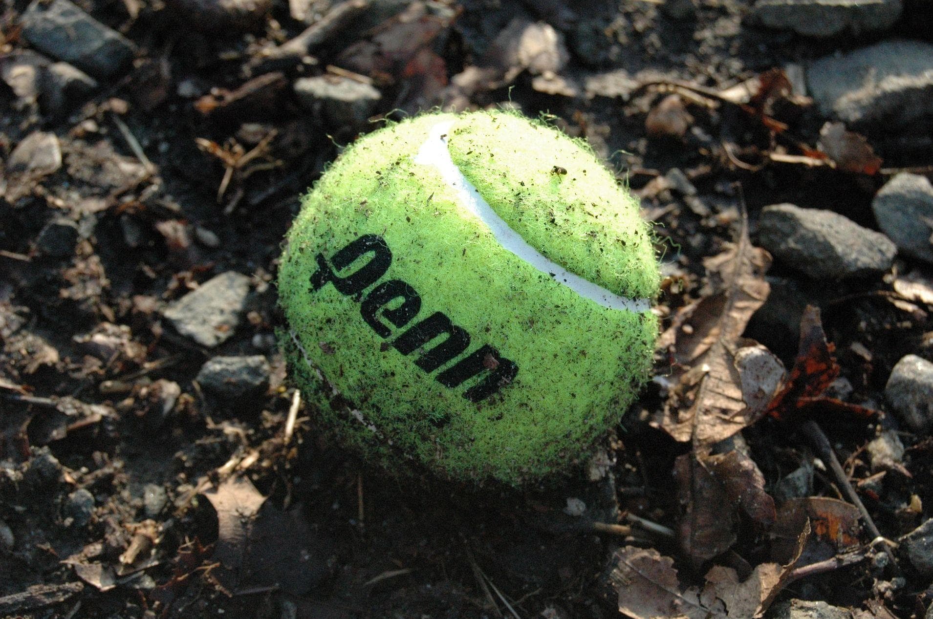 Best Brazilian Tennis Players List of Famous Tennis Players from Brazil