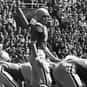 Dave Havern is listed (or ranked) 25 on the list The Best Pittsburgh Panthers Quarterbacks of All Time