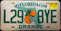 Florida on Random State License Plate Designs