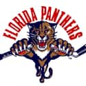 Florida Panthers on Random Best NHL Teams
