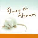 Daniel Keyes   Flowers for Algernon is a science fiction short story and subsequent novel written by Daniel Keyes.