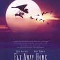 Fly Away Home on Random Great Movies About Very Smart Young Girls