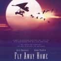 Fly Away Home on Random Best Movies For Young Girls