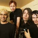 Foo Fighters on Random Greatest Musical Artists of '90s