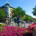 Fort Collins on Random Best Places In Colorado To Live