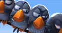 2000   For the Birds is a 2000 computer animated short film produced by Pixar Animation Studios and directed by Ralph Eggleston.