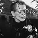 Frankenstein's Monster on Random Universal Movie Monster You Are, Based On Your Zodiac Sign