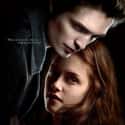 Twilight on Random Best Teen Romance Movies