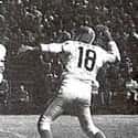 Frank Tripucka is listed (or ranked) 17 on the list The Best NFL Players To Have Their Numbers Retired
