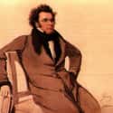 Franz Schubert on Random Greatest Musicians Who Died Before 40