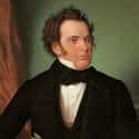 Franz Schubert on Random Famous People Who Died Broke