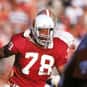 Freddie Joe Nunn is listed (or ranked) 25 on the list The Best Arizona Cardinals Linebackers of All Time