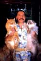Freddie Mercury on Random Extremely Peculiar Personal Quirks that Historic Musicians Had