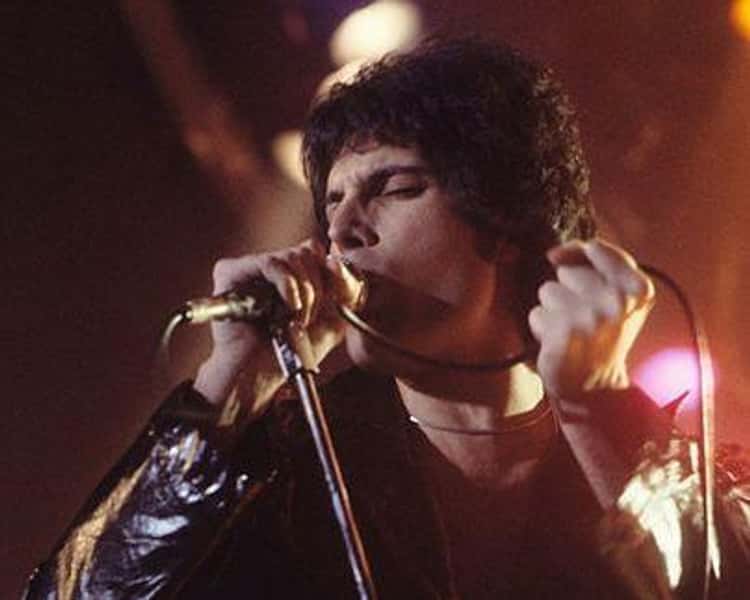 Freddie Mercury of Queen Its A Hard Life Shoot 1984 Purple Flare Womens T-Shirt